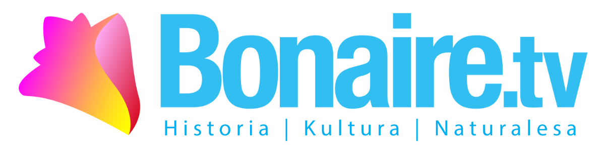 Logo Bonaire TV